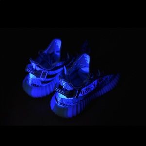 Adidas yeezy v2 Zebra